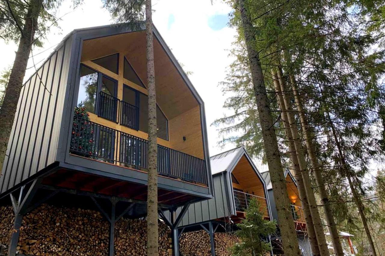Villa Alpiyka Slavske Dış mekan fotoğraf