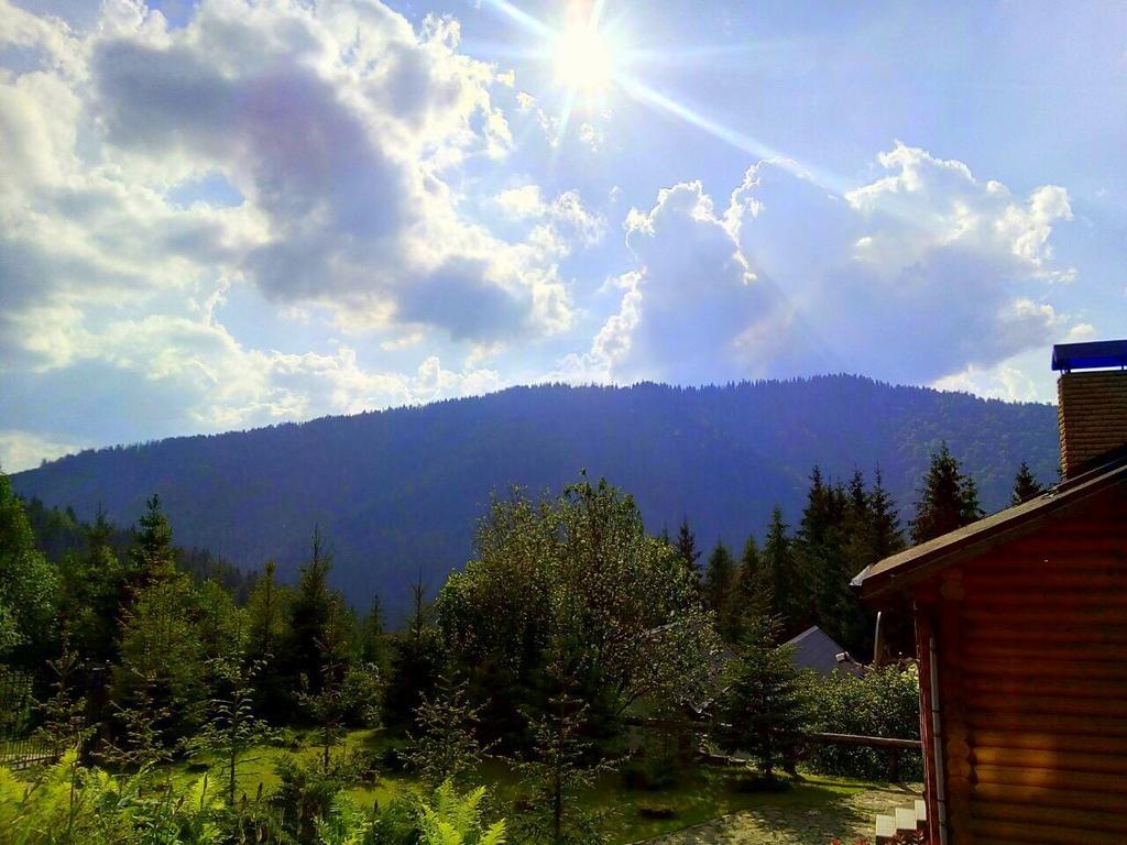Villa Alpiyka Slavske Dış mekan fotoğraf
