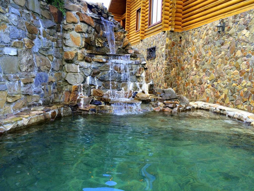 Villa Alpiyka Slavske Dış mekan fotoğraf