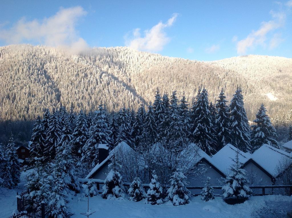Villa Alpiyka Slavske Dış mekan fotoğraf