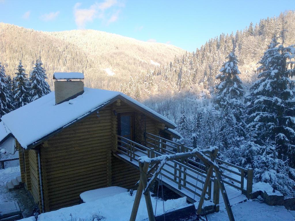 Villa Alpiyka Slavske Dış mekan fotoğraf