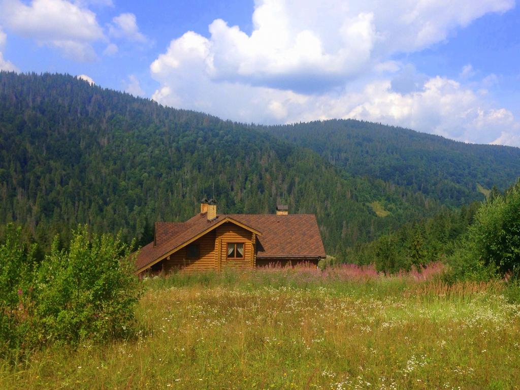 Villa Alpiyka Slavske Dış mekan fotoğraf