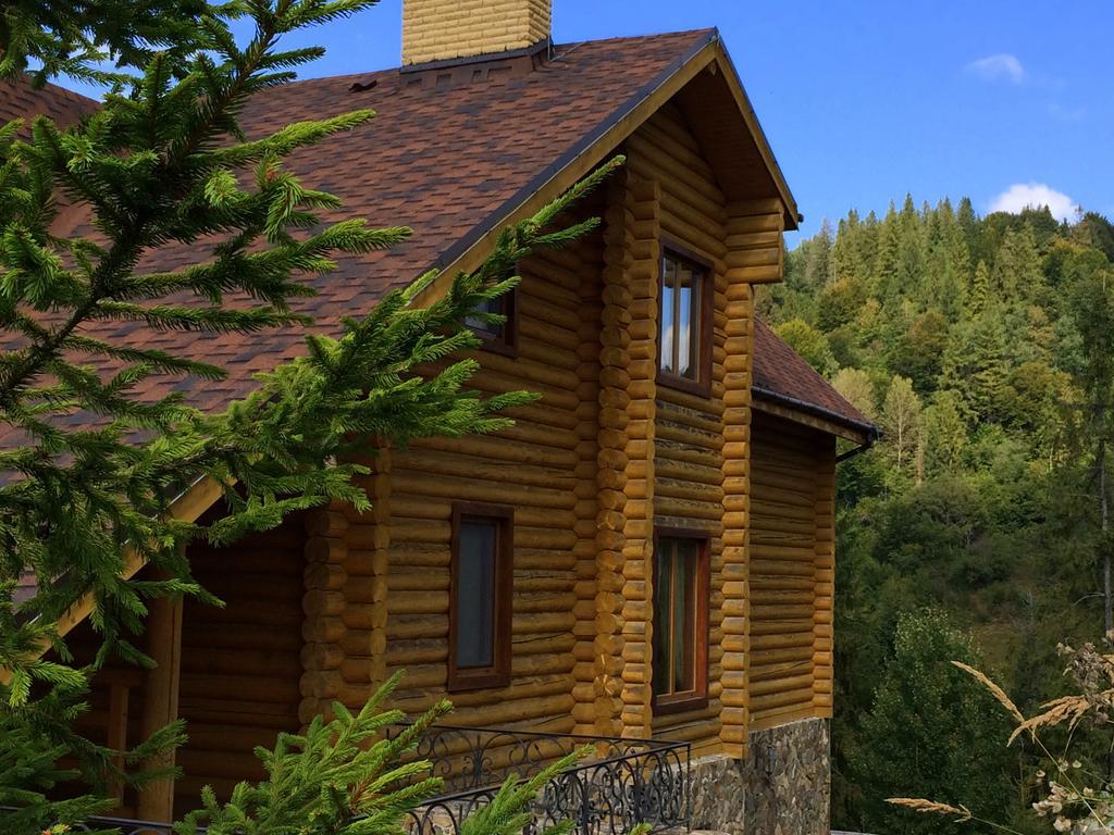 Villa Alpiyka Slavske Dış mekan fotoğraf