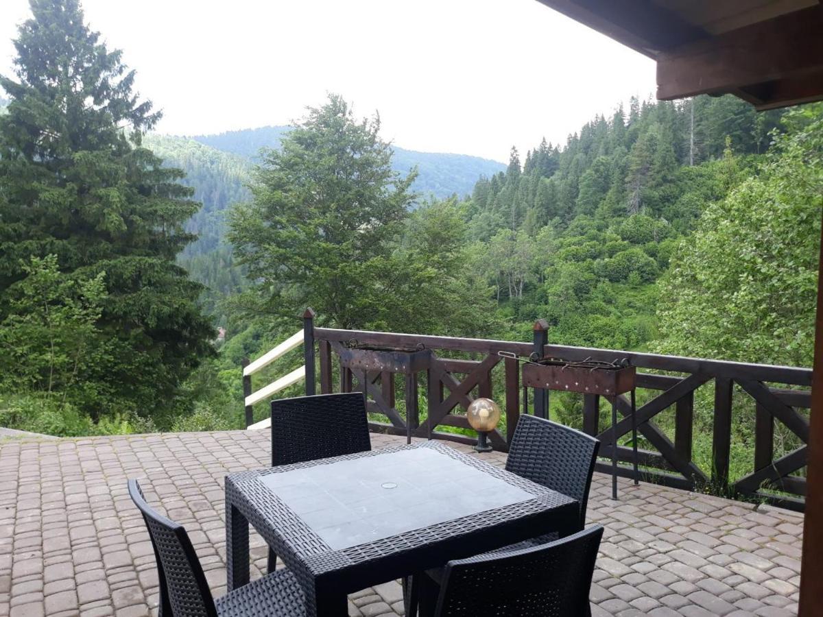 Villa Alpiyka Slavske Dış mekan fotoğraf
