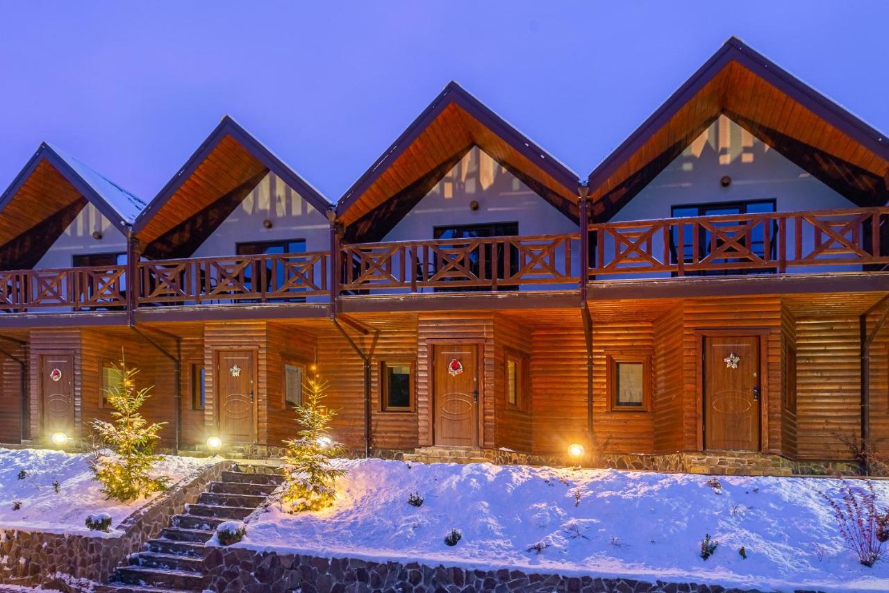 Villa Alpiyka Slavske Dış mekan fotoğraf